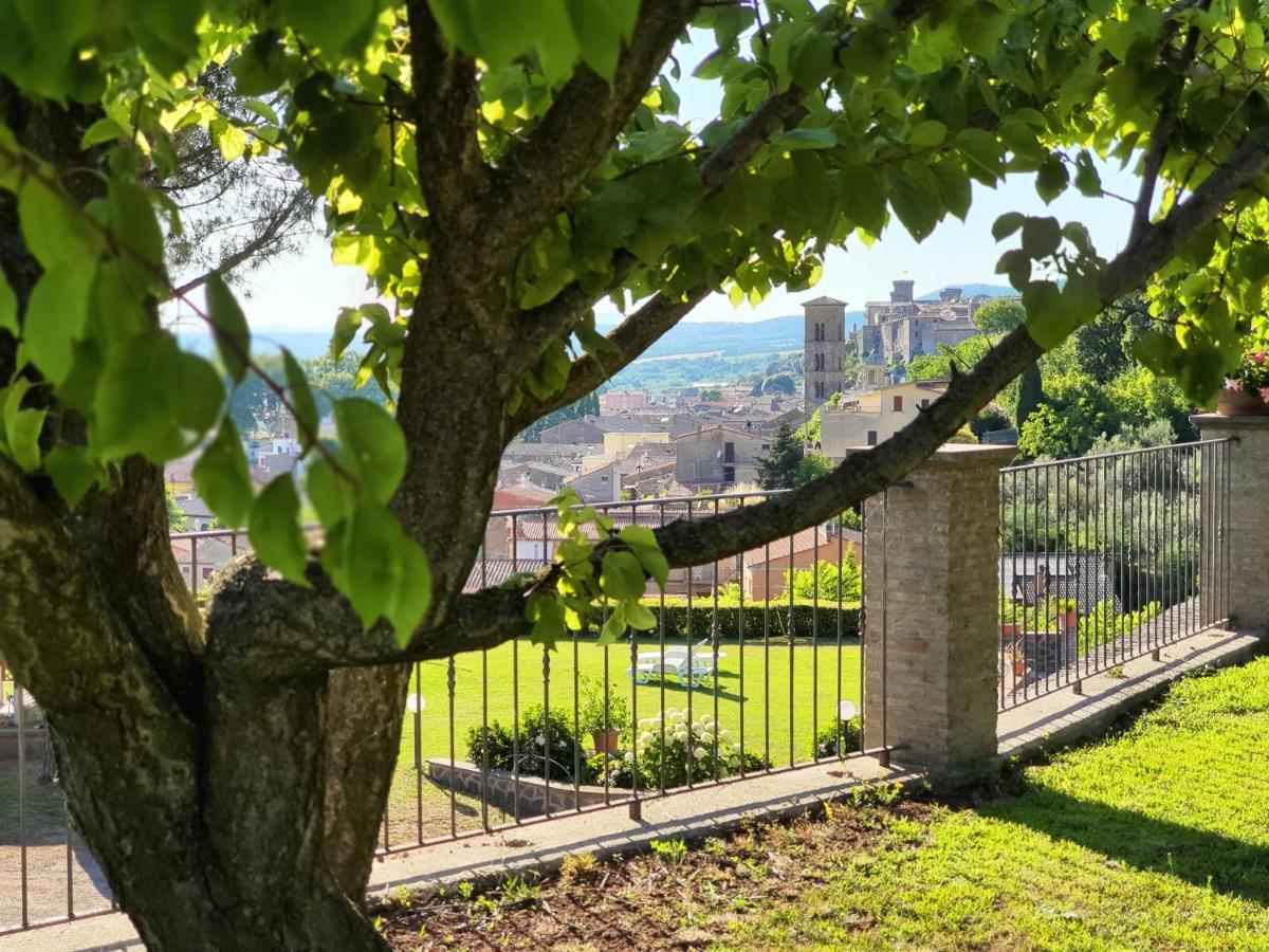 Agriturismo Le Vigne Больсена Экстерьер фото